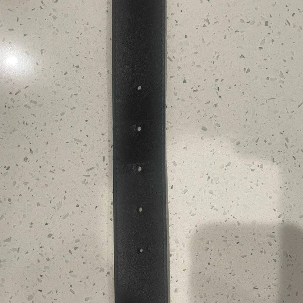 Helsa Logo Belt $150 Retail